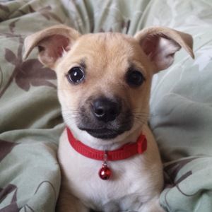 Meet your Posher, Nate